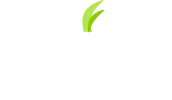 Tor Browser